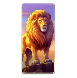Lion
Safari